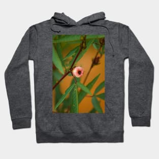 blla bloom in fruiting Hoodie